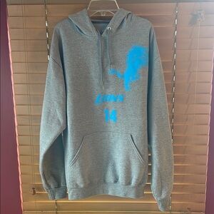 Gray Hoodie Detroit Lions #14 Large